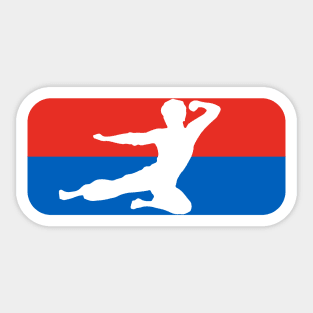 Kung Fu -   fly kick logo - NBA style Sticker